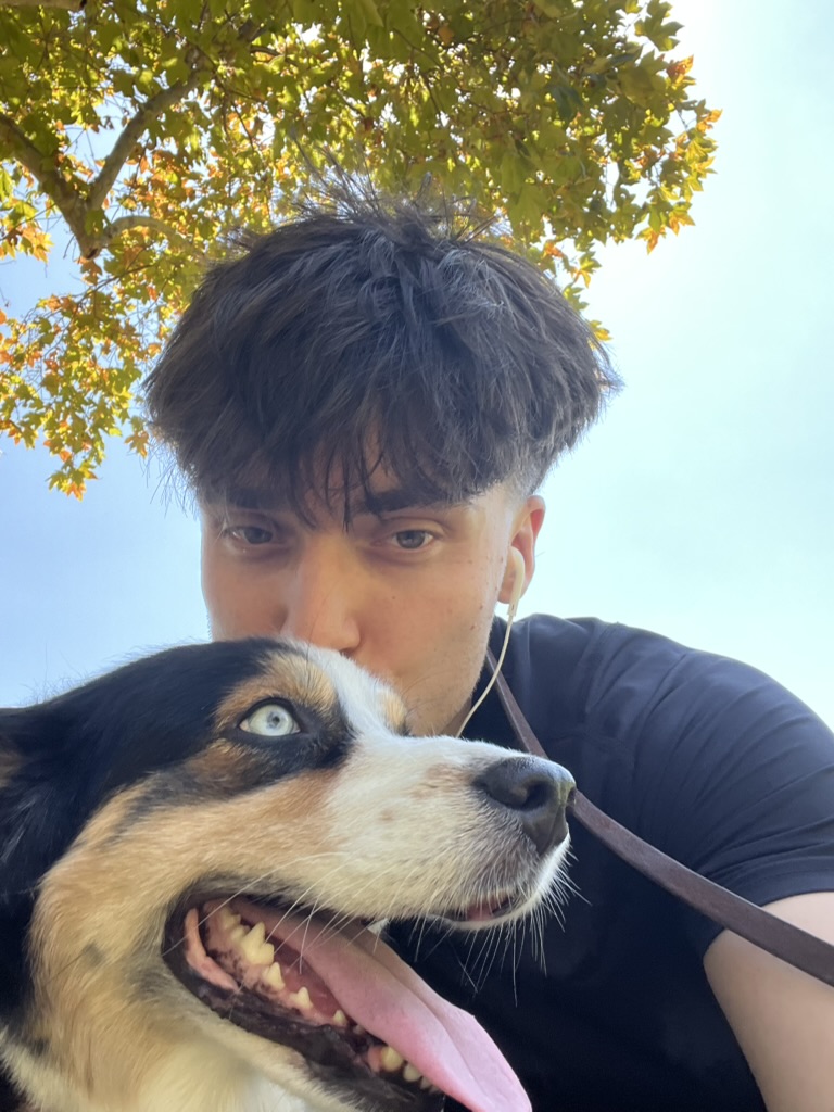 Hannah the Australian Shepherd playing in the park